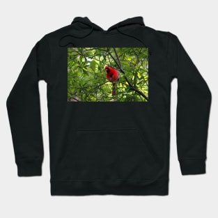 Red Says I See You Hoodie